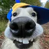 Ty