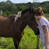 saaholiverr1