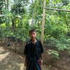 haldimari