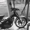 ridobaee82