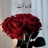 shamkqdj7dr