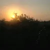 hamzamuslim761