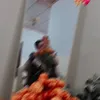 joshunoor.hdoaqri