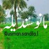 usman.sandilla