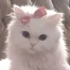 sofiikiss4