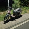 alip43861