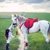 ahmad.mouhammad2