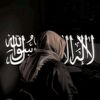 elsayyed.alhashmi
