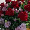 sonsuzluq_020_