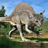 Miawonnigasorus