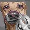 griztcacachki1