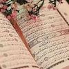 mohamed.aziz1081