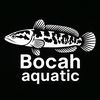 bocahaquatic