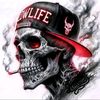 shehan9817ras