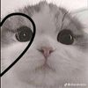 yubana.bethsabe.a