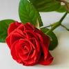 user9497315820100