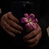 shatha_388