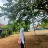 h_forr_herlinn