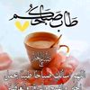 omtarek4415