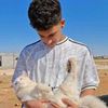 saed.ashrf.alsngr