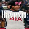 havexcc