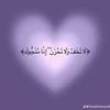 user4342981265666