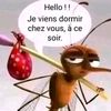 aubin.neyrar