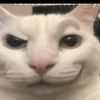 my.username42