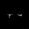 hamed.zidan4