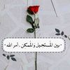 pntsohag