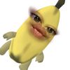 nurz4rith