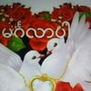 shiningstar5399