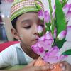 usersulat1