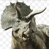 samlikesdinos