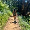 trailfairy