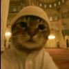 al_dy66