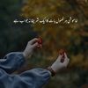 sohail.11007