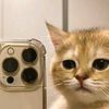 cococyy7