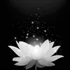v.xun468