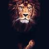 jacob.bernard96