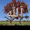 user340475032