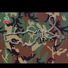 aboud.dandashe
