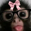 msulghtylce