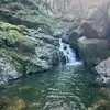 arianna.80_
