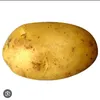 potatortt