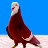 user4110213588419
