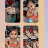 cica.baim