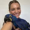 Exotic pet Shop