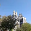 ابو محمود