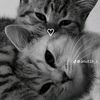 user2143239051127
